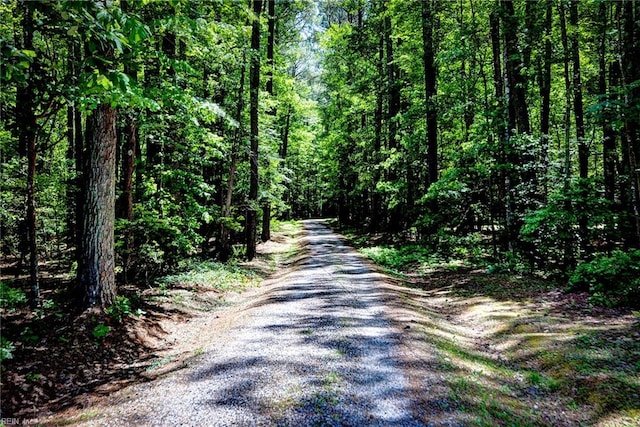 2944 Ridge Rd, Cobbs Creek, VA 23035 - view of street with a forest view