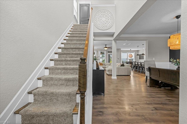 3012 George Starr Dr, Virginia Beach, VA 23456 - stairway featuring wood finished floors, ornamental molding, ceiling fan, and a textured wall