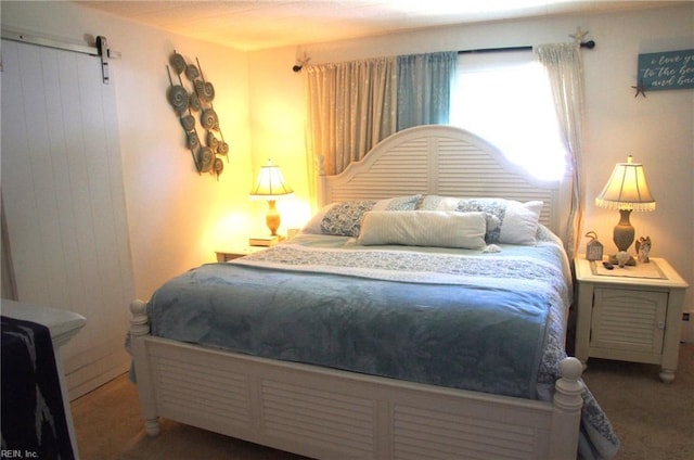 450 Benthall Rd, Hampton, VA 23664 - bedroom featuring carpet flooring and a barn door