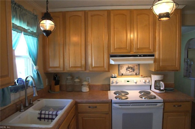 450 Benthall Rd, Hampton, VA 23664 - kitchen featuring under cabinet range hood, white range with electric stovetop, a sink, crown molding, and light countertops