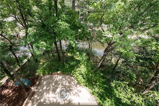 440 Goodspeed Rd, Virginia Beach, VA 23451 - view of yard