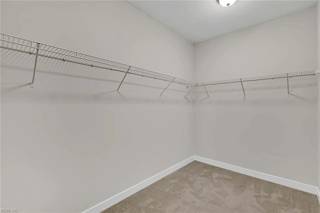 101 Daybeacon St, Yorktown, VA 23692 - walk in closet with carpet floors