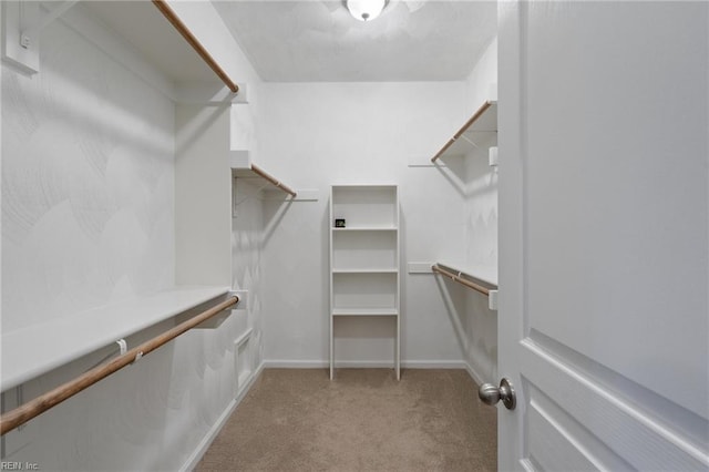 145 Beacon Run, Suffolk, VA 23435 - walk in closet with carpet flooring