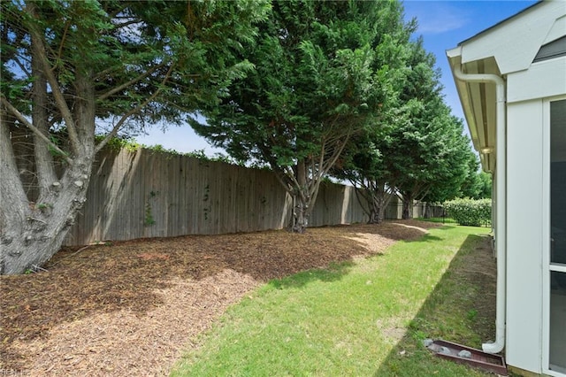 145 Beacon Run, Suffolk, VA 23435 - view of yard