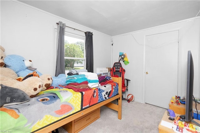 1204 Blythewood Ln, Suffolk, VA 23434 - view of carpeted bedroom
