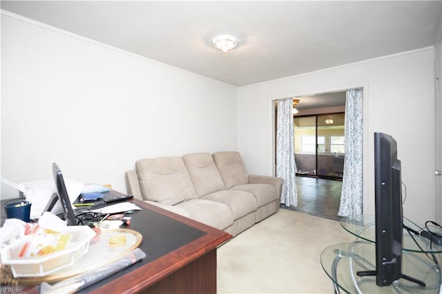 1204 Blythewood Ln, Suffolk, VA 23434 - living area with ornamental molding and light carpet
