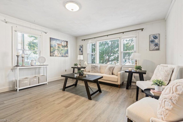 128 Wellons St, Suffolk, VA 23434 - living area featuring plenty of natural light, crown molding, light wood-style floors, and baseboards
