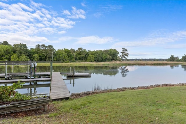 118 Goose Hill Way, Smithfield, VA 23430 - dock with a water view, a yard, and boat lift