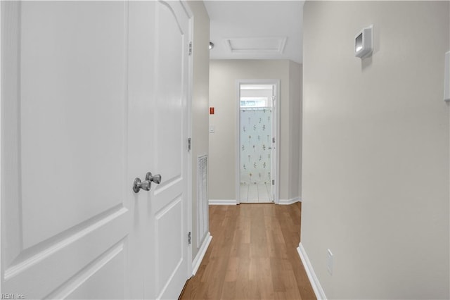 1300 Equinox Lndg, Chesapeake, VA 23322 - hall with light wood finished floors, baseboards, and attic access