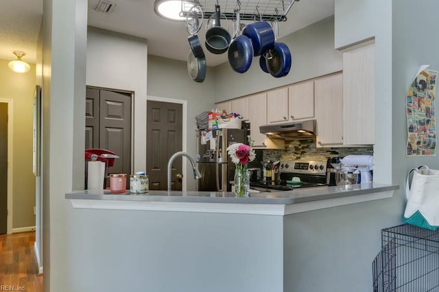 321 Duke St Unit 133, Norfolk, VA 23510 - kitchen featuring appliances with stainless steel finishes, under cabinet range hood, backsplash, and a peninsula