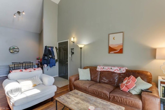 321 Duke St Unit 133, Norfolk, VA 23510 - living area with wood finished floors and high vaulted ceiling