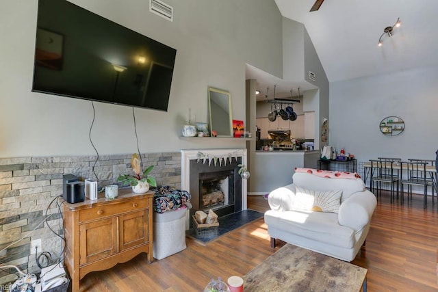 321 Duke St Unit 133, Norfolk, VA 23510 - living area featuring a fireplace with flush hearth, wood finished floors, and high vaulted ceiling