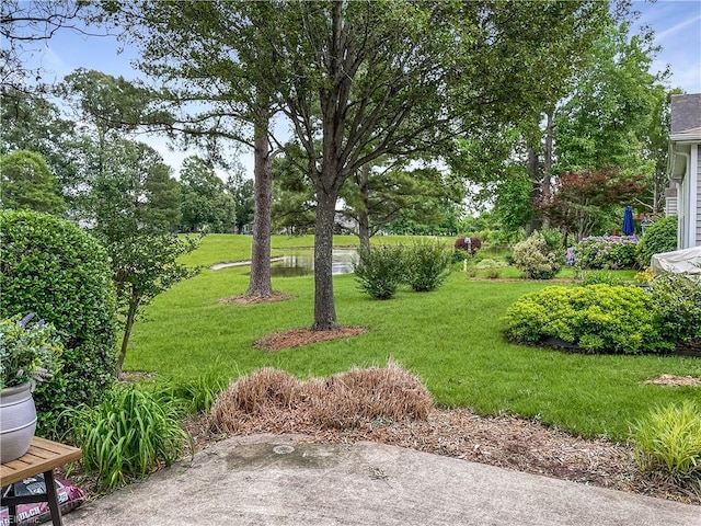2884 Einstein Dr, Virginia Beach, VA 23456 - view of grassy yard