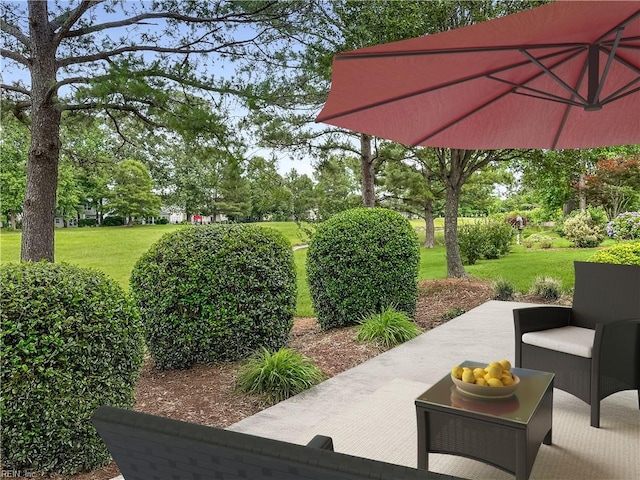 2884 Einstein Dr, Virginia Beach, VA 23456 - view of patio