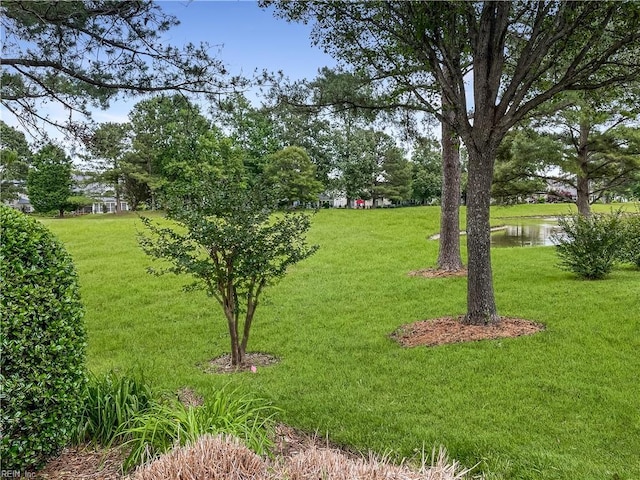 2884 Einstein Dr, Virginia Beach, VA 23456 - view of green lawn with a water view