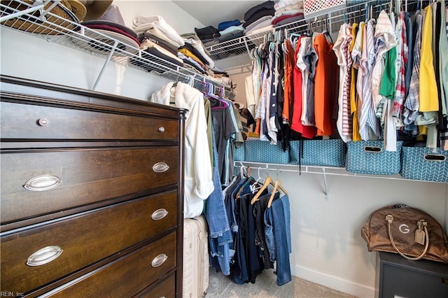 1621 Redwing Arch, Chesapeake, VA 23323 - walk in closet featuring light carpet