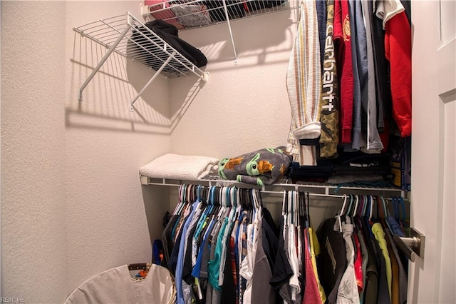 1621 Redwing Arch, Chesapeake, VA 23323 - view of walk in closet