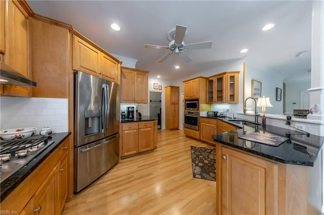 2504 William Tankard Dr, Williamsburg, VA 23185 - kitchen featuring appliances with stainless steel finishes, a sink, a ceiling fan, light wood-type flooring, and crown molding