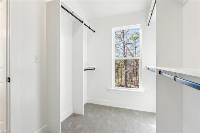 1912 Mccoy Rd, Chesapeake, VA 23323 - walk in closet with light carpet and a barn door