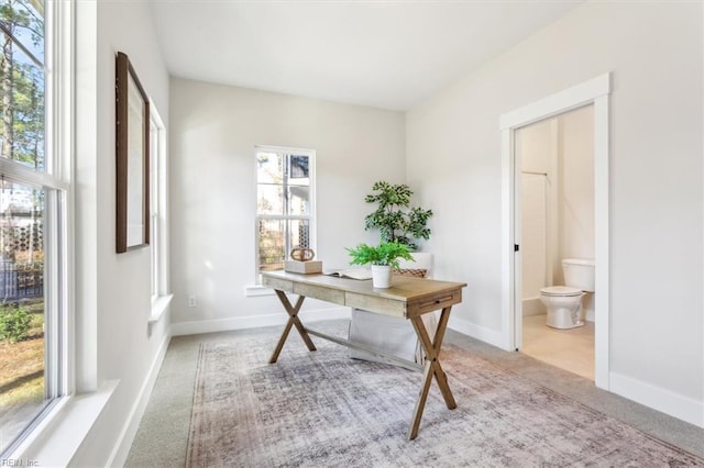 1912 Mccoy Rd, Chesapeake, VA 23323 - office featuring carpet floors and baseboards