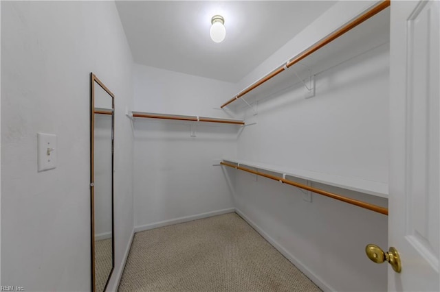 238 Wingate Dr, Williamsburg, VA 23185 - spacious closet with carpet floors