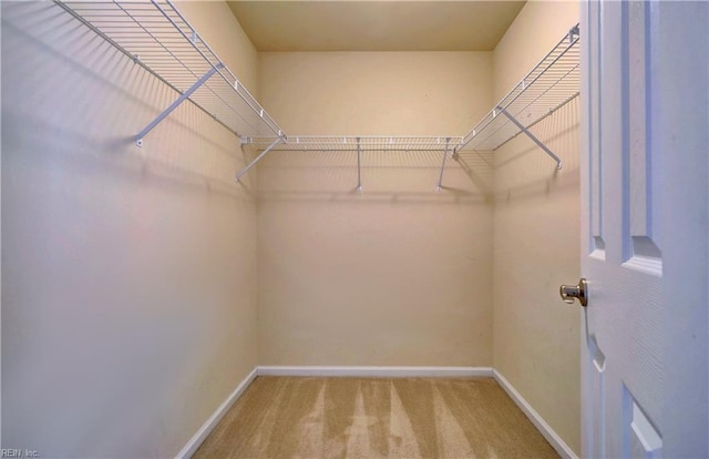 5233 Winery Dr, Chesapeake, VA 23321 - walk in closet with carpet flooring