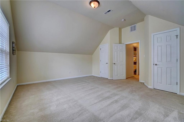 5233 Winery Dr, Chesapeake, VA 23321 - additional living space with carpet, vaulted ceiling, and baseboards