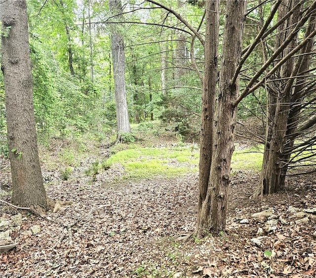 520 Hickory Cres, Smithfield, VA 23430 - view of wooded area