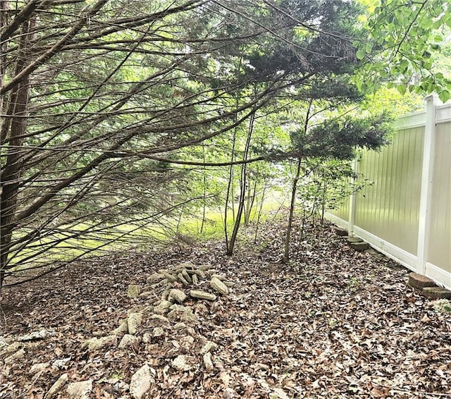520 Hickory Cres, Smithfield, VA 23430 - view of local wilderness