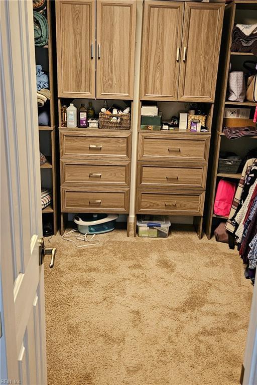 520 Hickory Cres, Smithfield, VA 23430 - walk in closet with carpet flooring