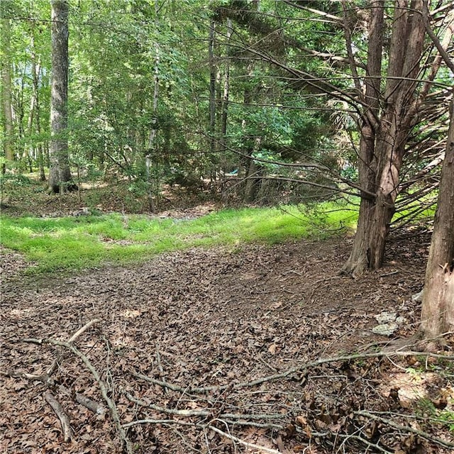 520 Hickory Cres, Smithfield, VA 23430 - view of local wilderness