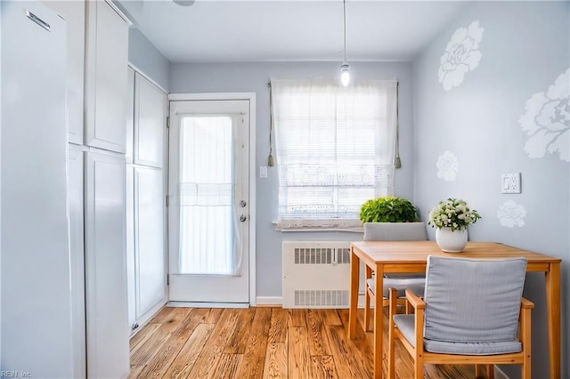 7720 Dunfield Pl Unit A3, Norfolk, VA 23505 - dining room featuring radiator heating unit and light wood-style floors