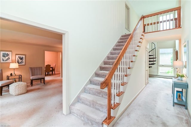 5209 Studeley Ave, Norfolk, VA 23508 - stairway featuring carpet and a high ceiling