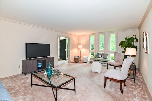 5209 Studeley Ave, Norfolk, VA 23508 - living room with ornamental molding, light colored carpet, baseboards, and a baseboard radiator