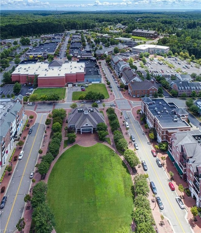 5413 Foundation St, Williamsburg, VA 23188 - bird's eye view