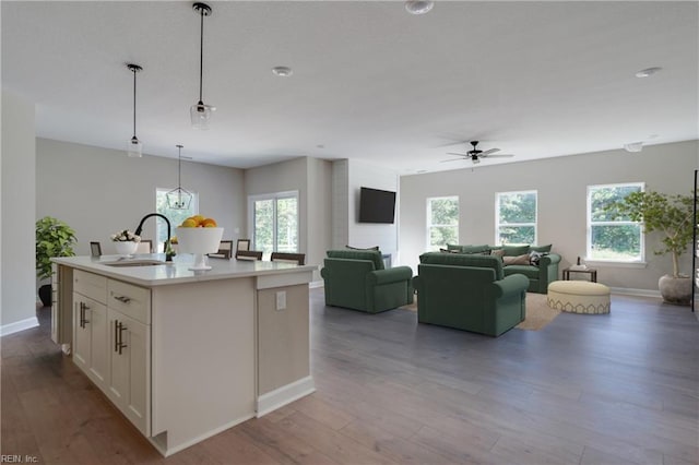 23041 Calvin Dr, Franklin, VA 23851 - kitchen featuring a sink, wood finished floors, ceiling fan, and light countertops