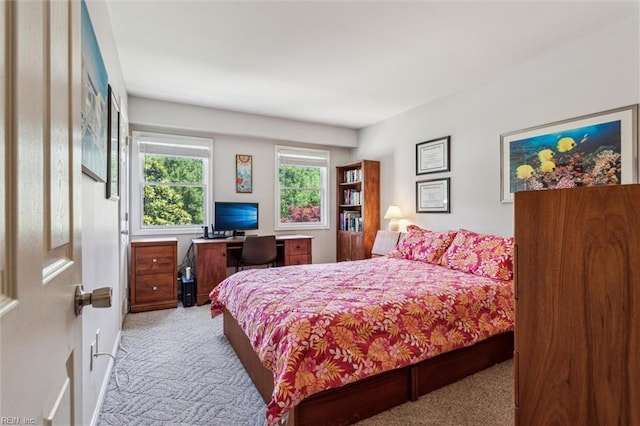 107 Benson Dr, Hampton, VA 23664 - bedroom with carpet flooring