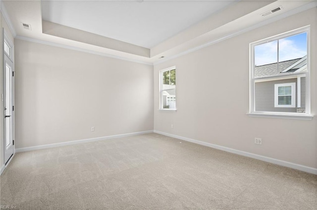 2300 Venture Way Unit B, Suffolk, VA 23434 - empty room featuring a raised ceiling, light colored carpet, baseboards, and ornamental molding
