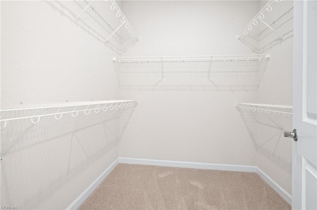 2300 Venture Way Unit B, Suffolk, VA 23434 - spacious closet featuring carpet floors