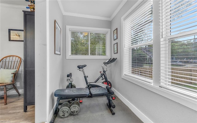 4201 Newport Ave, Norfolk, VA 23508 - exercise room featuring baseboards and ornamental molding