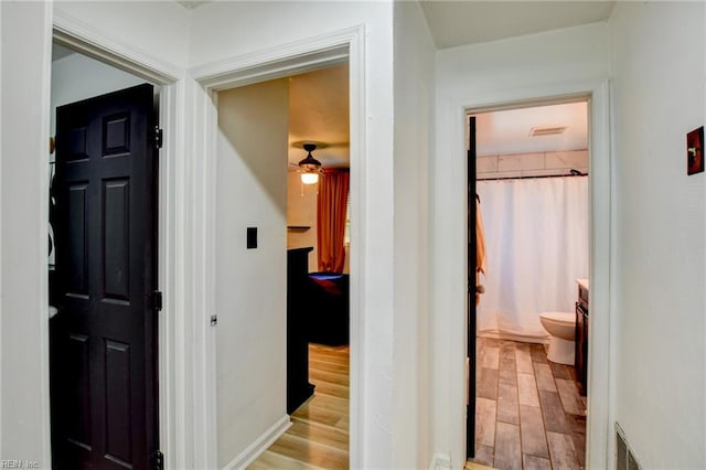 3521 Wayne St, Virginia Beach, VA 23452 - hallway with light wood finished floors