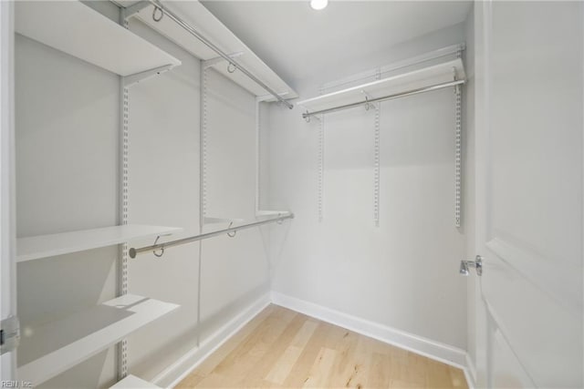 4250 Granby St Unit 109, Norfolk, VA 23504 - walk in closet featuring light wood finished floors