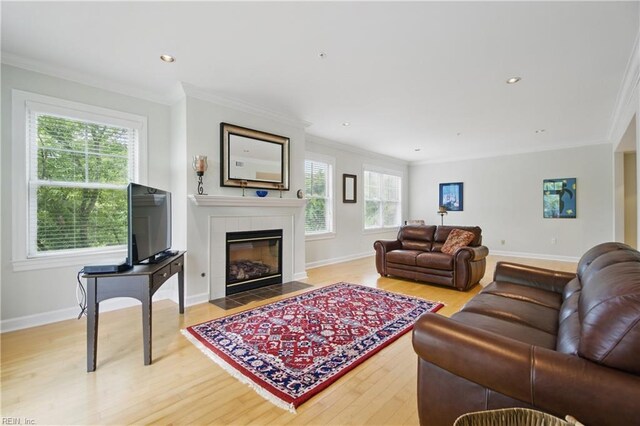 4250 Granby St Unit 109, Norfolk, VA 23504 - living room with wood finished floors, ornamental molding, a tiled fireplace, baseboards, and recessed lighting