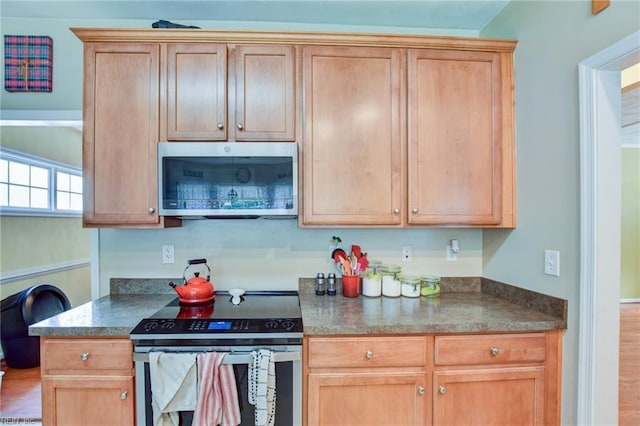 1757 Brigands Way, Virginia Beach, VA 23453 - kitchen featuring appliances with stainless steel finishes, dark countertops, and wood finished floors