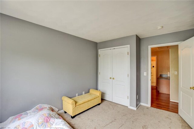 1757 Brigands Way, Virginia Beach, VA 23453 - bedroom with carpet, a closet, and baseboards