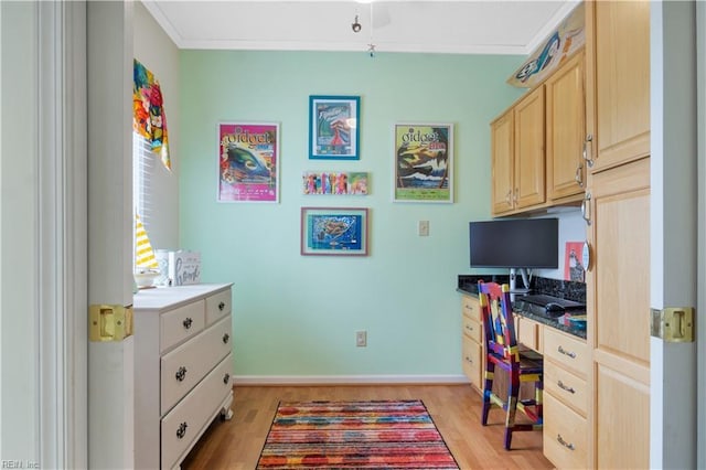 1026 High Dunes Quay Quay Unit 201, Hampton, VA 23664 - office space with light wood-type flooring, baseboards, and ornamental molding