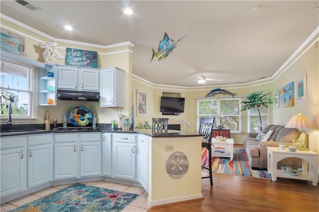 1026 High Dunes Quay Quay Unit 201, Hampton, VA 23664 - kitchen with ornamental molding, open floor plan, a ceiling fan, a peninsula, and under cabinet range hood