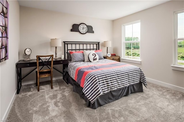 1501 Bogue St, Chesapeake, VA 23322 - bedroom featuring carpet flooring and baseboards