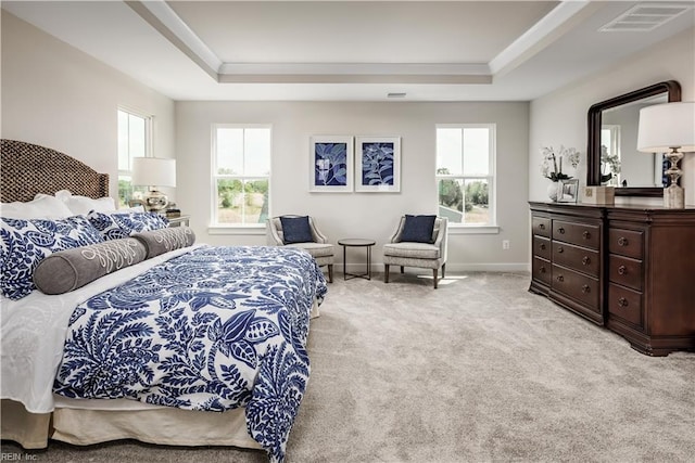 1501 Bogue St, Chesapeake, VA 23322 - carpeted bedroom with a raised ceiling and baseboards