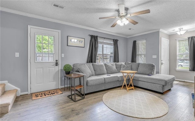 403 Joel Ct, Newport News, VA 23608 - living area featuring healthy amount of natural light, hardwood / wood-style floors, ceiling fan, a textured ceiling, and crown molding